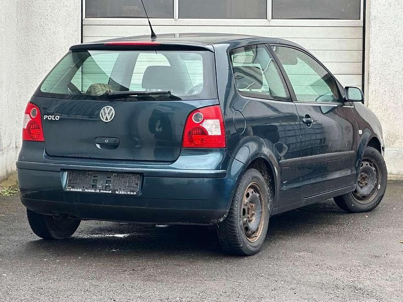 Gebraucht VW Polo Basis 54 PS (39 kW) 2003 Grün Kleinwagen