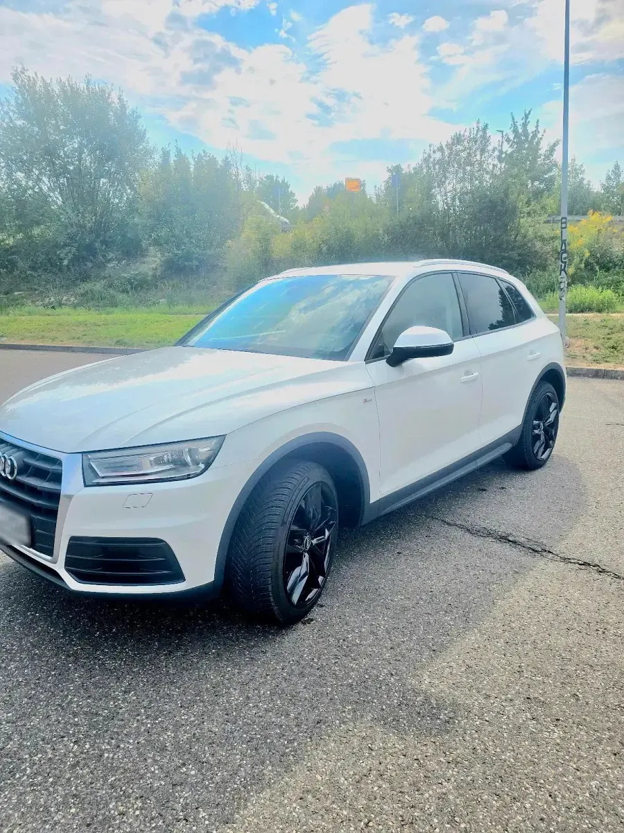 Gebraucht Audi Q5 190 PS (139 kW) 2019 Weiß SUV
