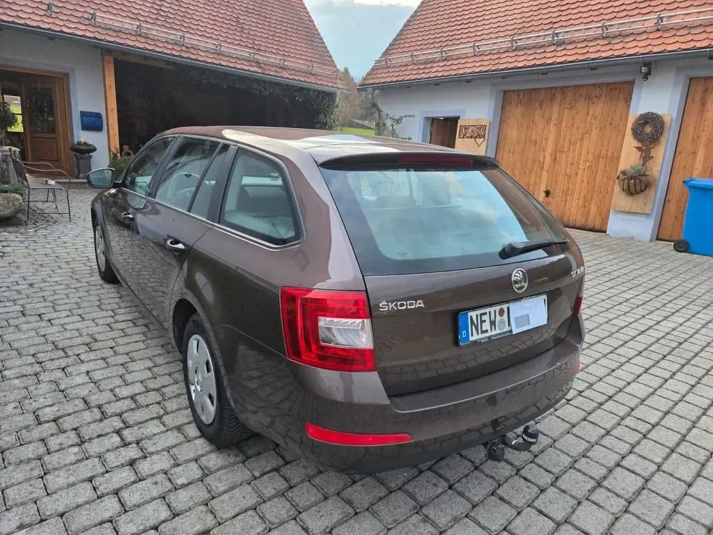 Gebraucht Skoda Octavia Active 105 PS (77 kW) 2014 Braun Kombi