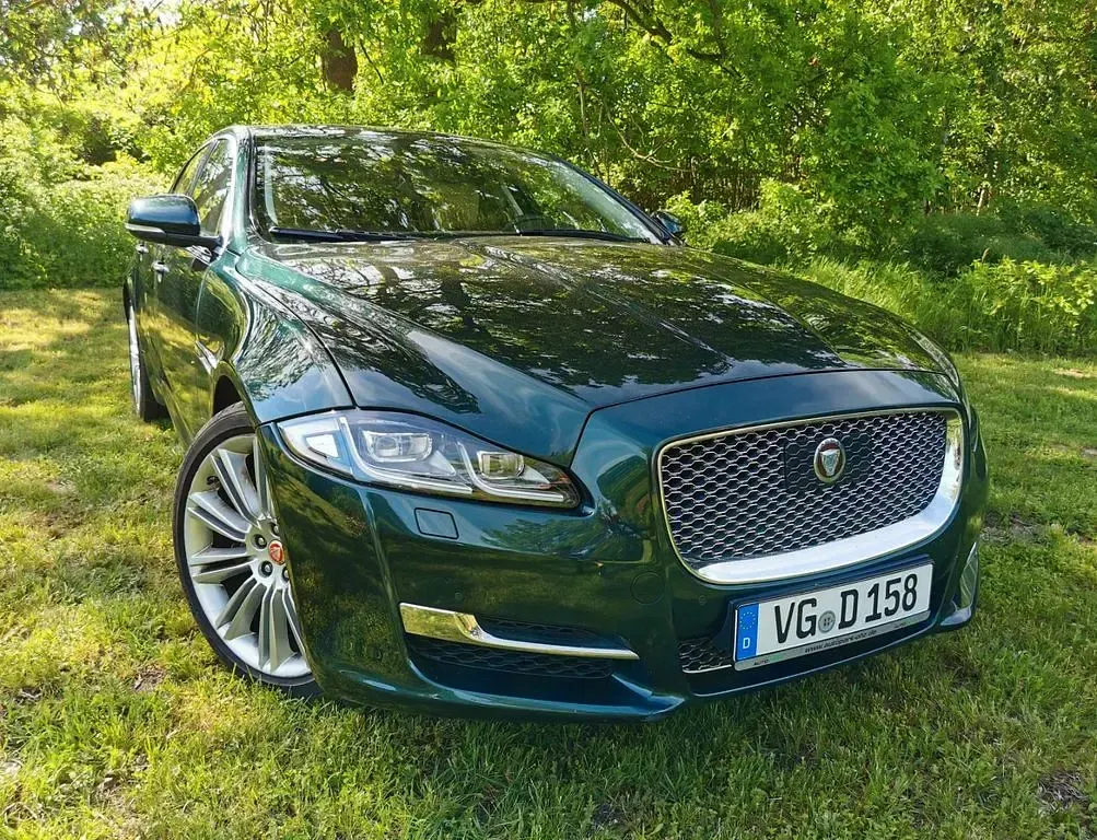 Gebraucht Jaguar XJ Luxury 300 PS (220 kW) 2019 Grün Limousine
