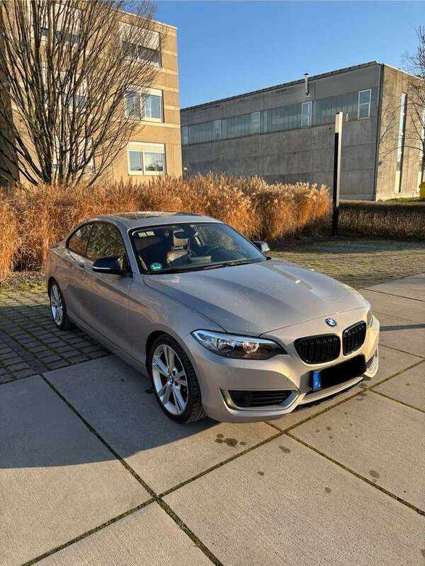 Beige Gebraucht 2014 BMW 220 Coupé | 16.000 € (Guter Preis) - Bild 1/4