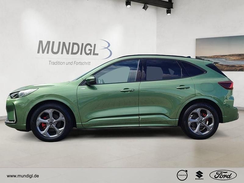 Gebraucht Ford Kuga ST-Line X 152 PS (111 kW) 2025 Gruen SUV