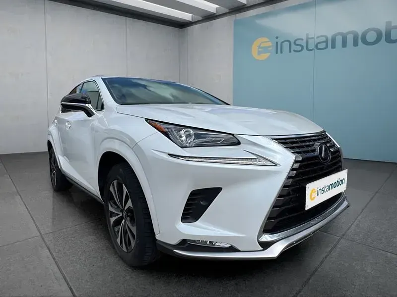 Gebraucht Lexus NX300h 197 PS (144 kW) 2021 Weiß SUV