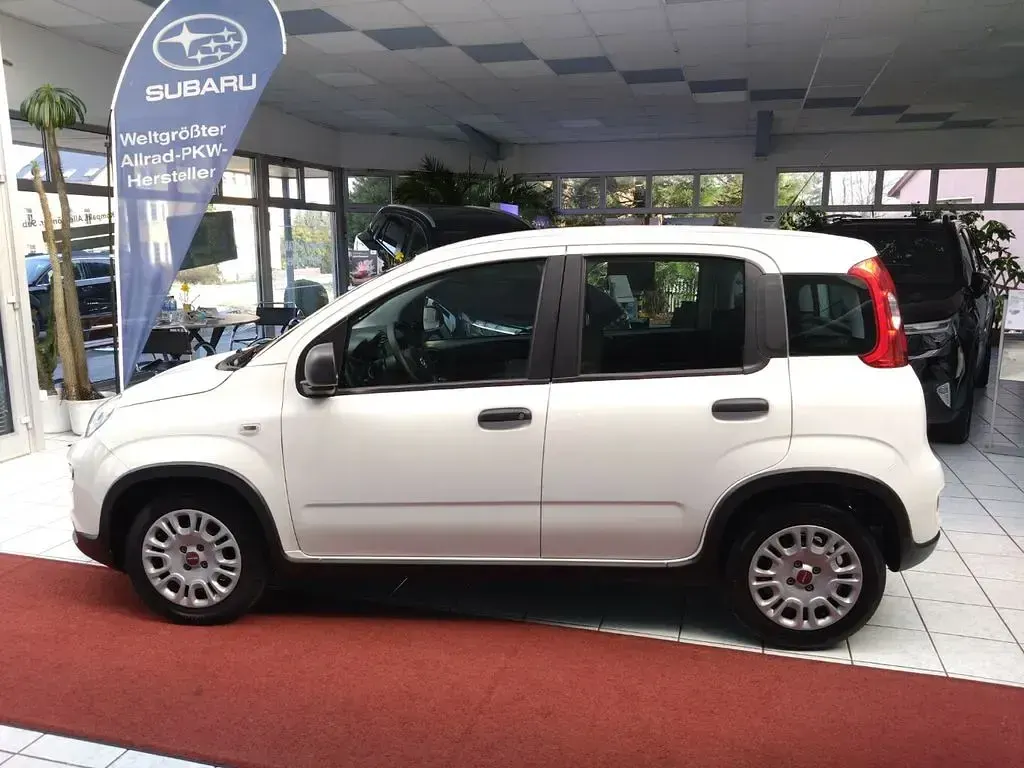 Occasion Fiat Panda 71 ch (52 kW) 2024 Blanc Citadine