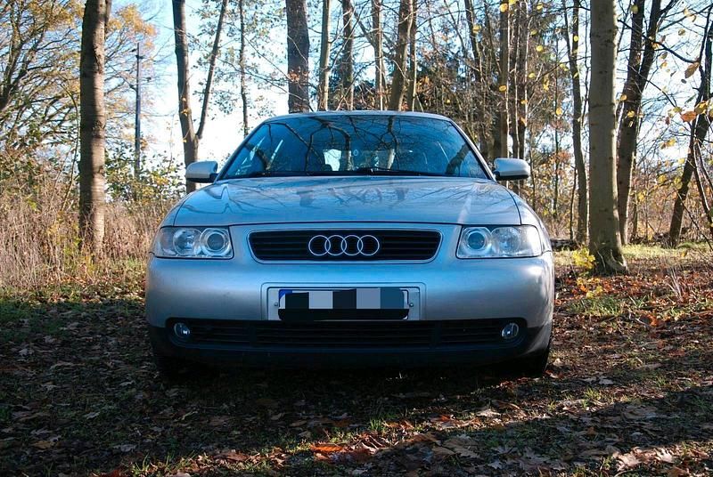 Gebraucht Audi A3 Basis 125 PS (91 kW) 2002 Silber Kleinwagen