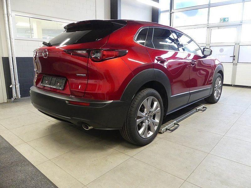 Gebraucht Mazda CX-30 Selection 122 PS (89 kW) 2020 Rot SUV