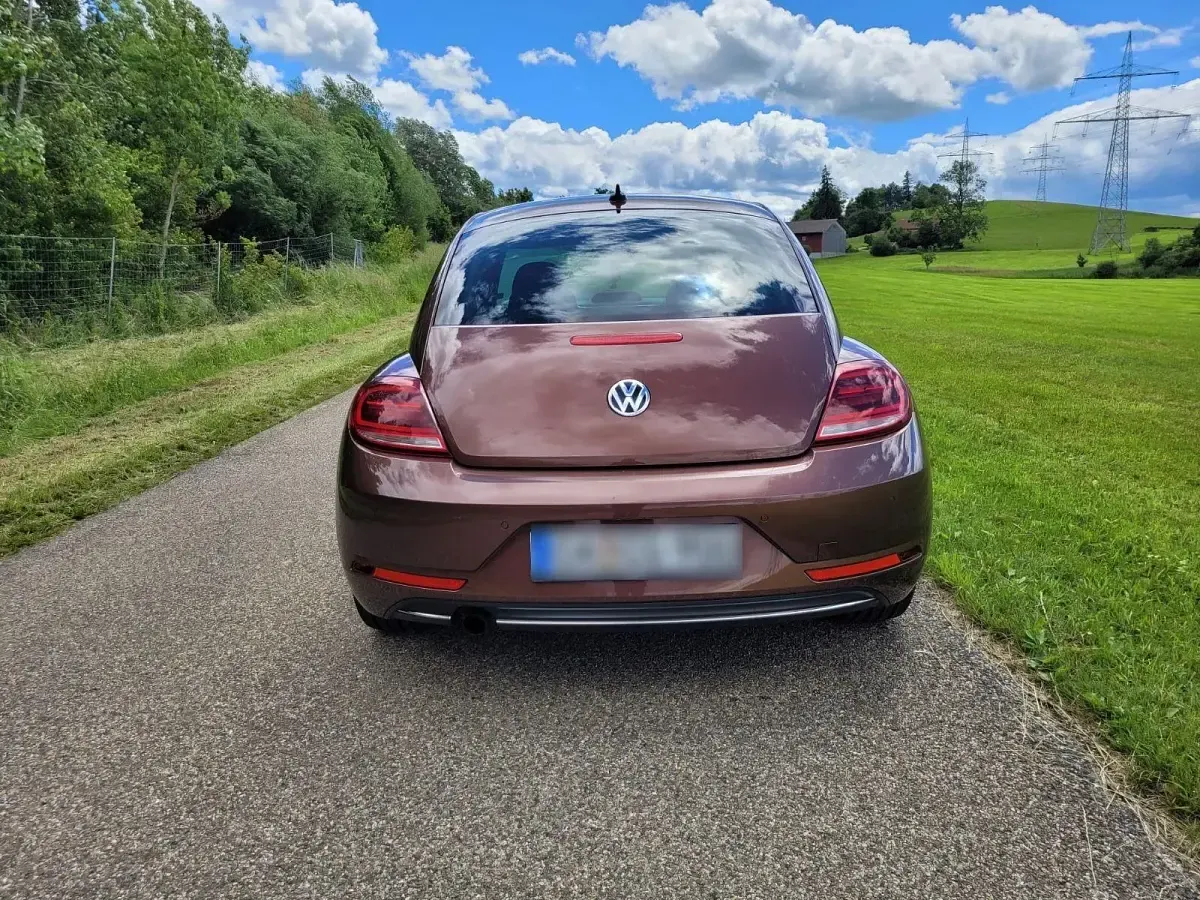 Gebraucht VW Beetle Allstar 105 PS (77 kW) 2017 Braun Kleinwagen