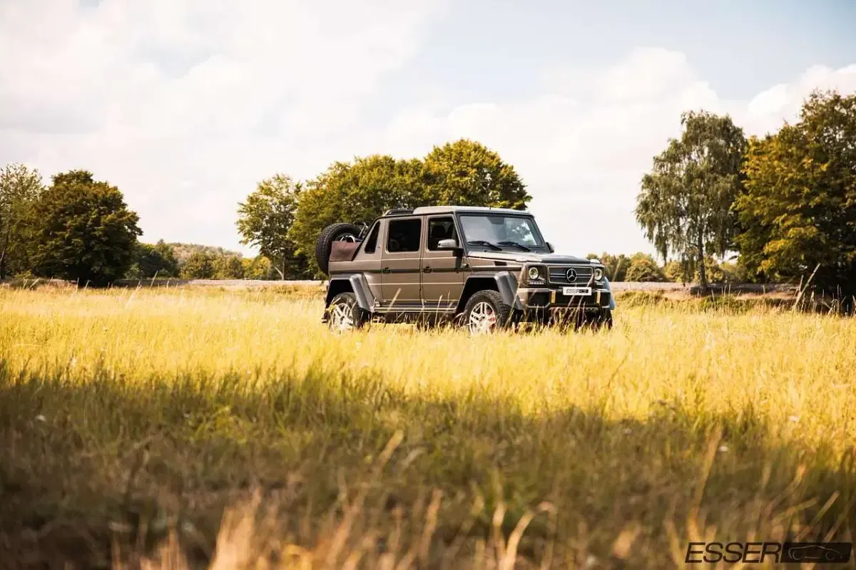 Gebraucht Mercedes G65 AMG AMG 630 PS (463 kW) 2019 054 monza grau magno SUV