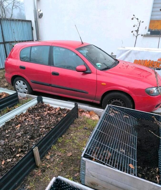 Rot Gebraucht 2004 Nissan Almera Kleinwagen | 1.000 € (Superpreis) - Bild 1/4