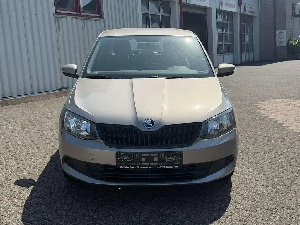 Gebraucht Skoda Fabia Active 60 PS (44 kW) 2018 Grau Kleinwagen