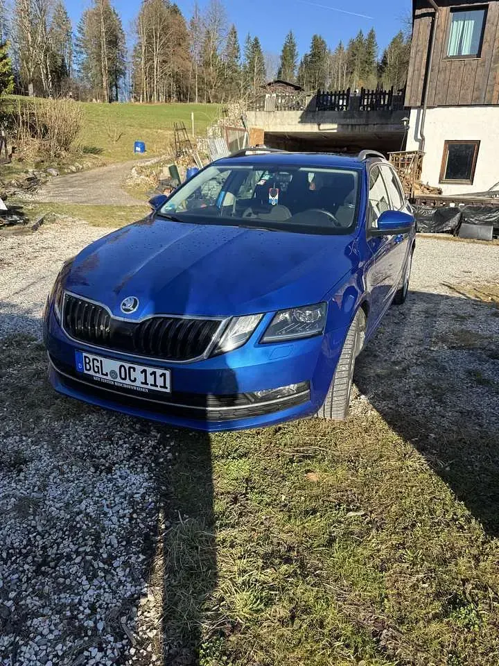 Gebraucht Skoda Octavia Scout 190 PS (139 kW) 2019 Kombi