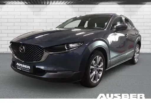 Gebraucht Mazda CX-30 Selection 122 PS (89 kW) 2021 Grau SUV
