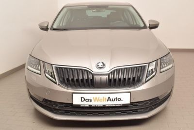 Gebraucht Skoda Octavia Drive 150 PS (110 kW) 2017 Beige metallic Limousine