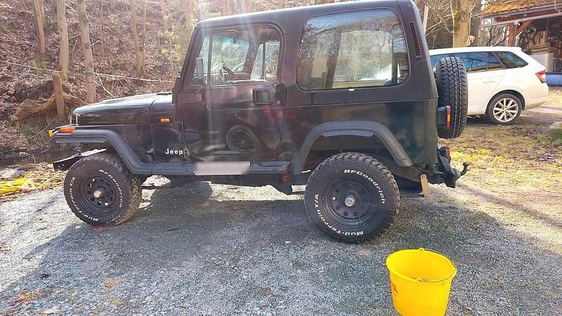 Gebraucht Jeep Wrangler 123 PS (90 kW) 1995 Schwarz SUV