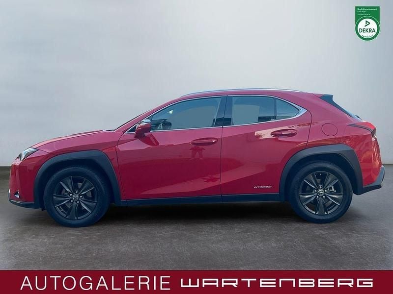 Gebraucht Lexus UX 250h Launch Edition 145 PS (106 kW) 2019 Rot SUV