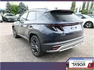 Neu Hyundai Tucson 150 PS (110 kW) 2026 Blau (sailing blue perleffekt) SUV