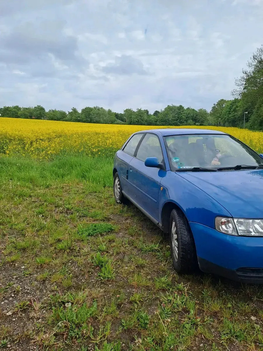 Używany Audi A3 110 KM (80 kW) 1999 Niebieski Hatchback
