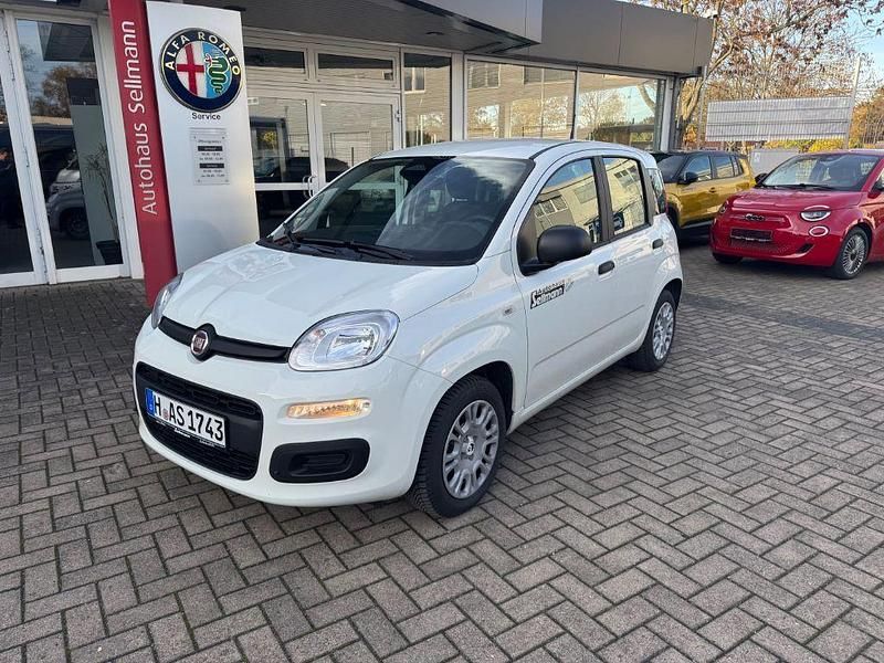 Weiß Gebraucht 2025 Fiat Panda Icon Limousine | 16.490 € (Teuer) - Bild 1/4