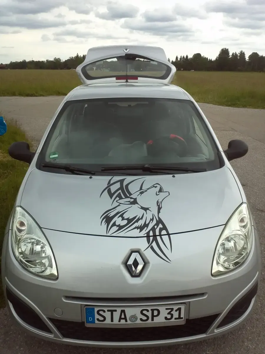 Gebraucht Renault Twingo 58 PS (42 kW) 2009 Silber Kleinwagen