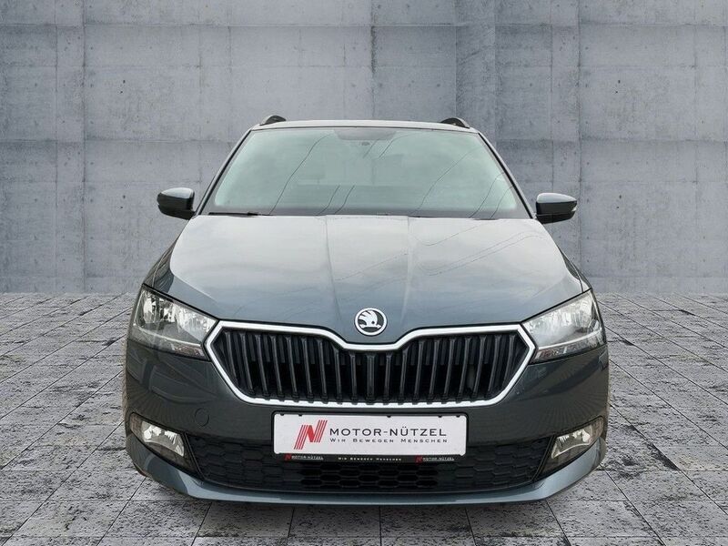 Gebraucht Skoda Fabia Active 95 PS (69 kW) 2021 Grau Kleinwagen