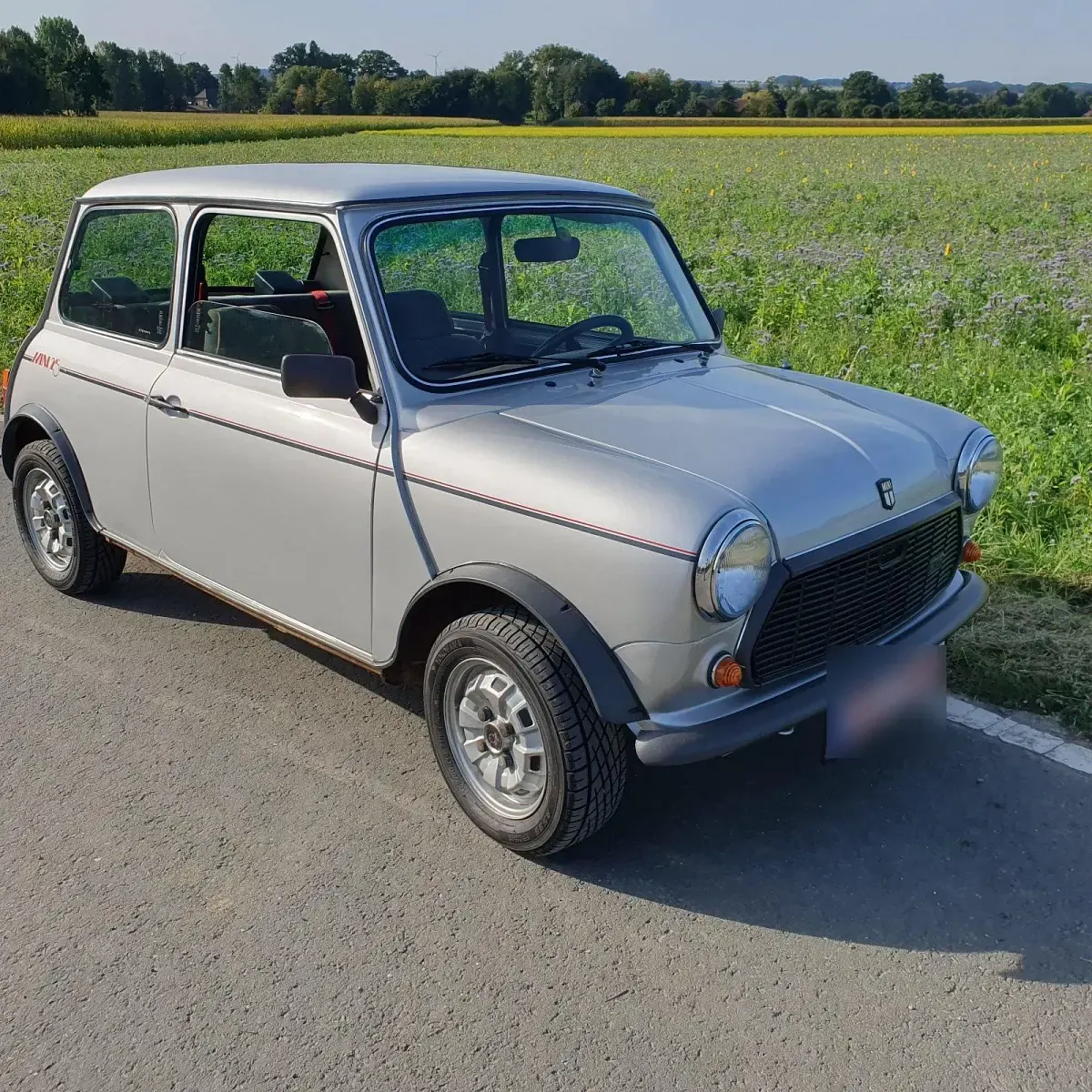 Usata Mini 1000 44 CV (32 kW) 1984 Argento Utilitaria