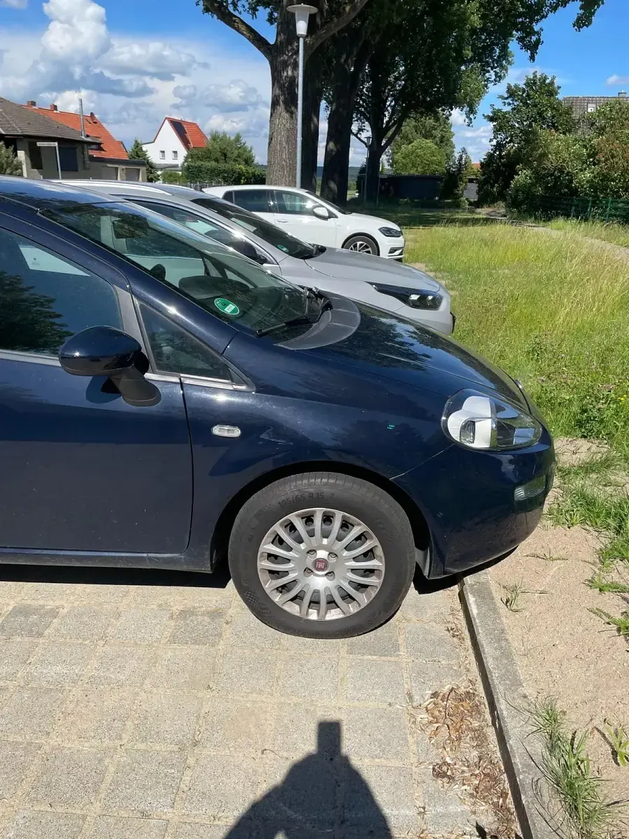 Gebraucht Fiat Punto 69 PS (50 kW) 2014 Blau Kleinwagen
