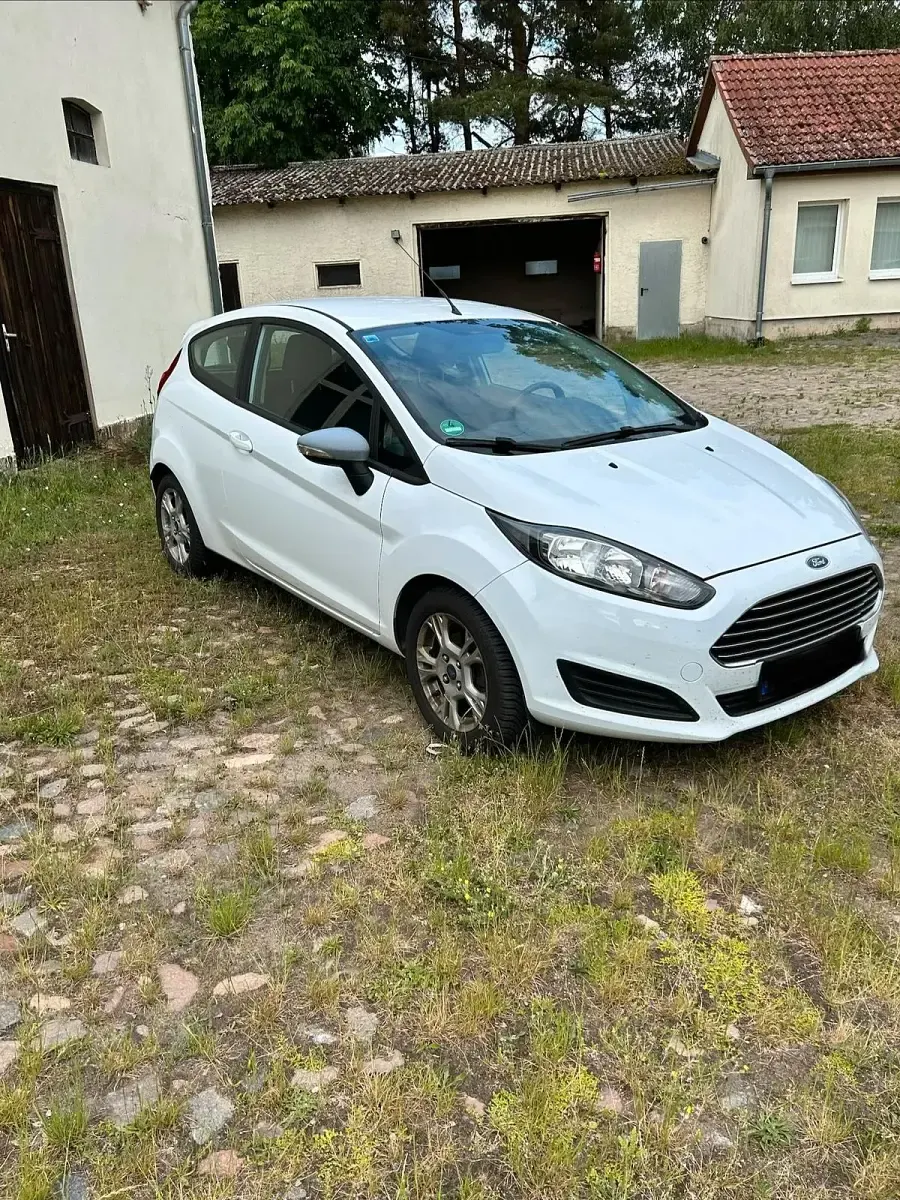 Gebraucht Ford Fiesta 65 PS (47 kW) 2014 Weiß Kleinwagen