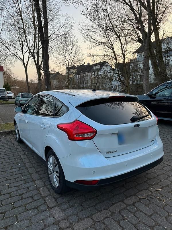 Gebraucht Ford Focus 125 PS (91 kW) 2015 Weiß Kleinwagen