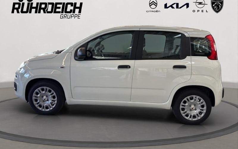 Gebraucht Fiat Panda Icon 65 PS (47 kW) 2026 Weiss Kleinwagen