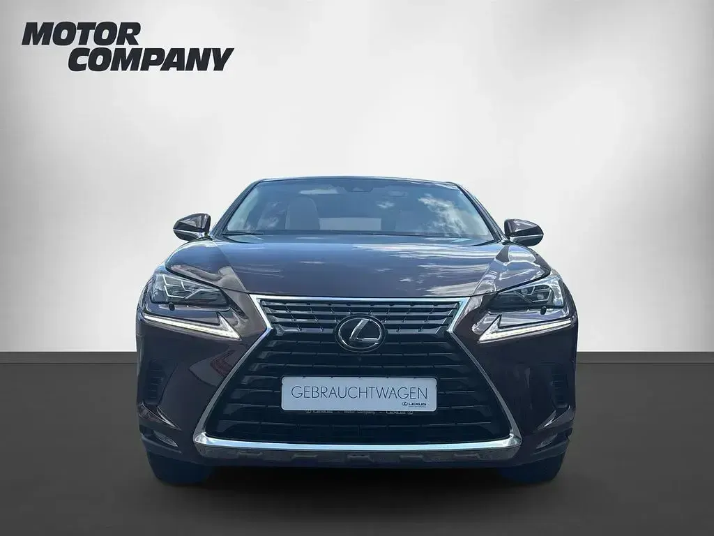 Gebraucht Lexus NX300h Luxury Line 197 PS (144 kW) 2019 Braun SUV