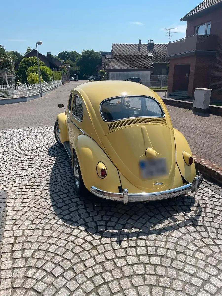 Gebraucht VW Käfer 120 PS (88 kW) 1959 Gelb Limousine