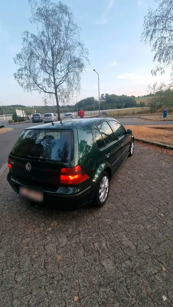 Gebraucht VW Golf IV 75 PS (55 kW) 2001 Grün Kleinwagen