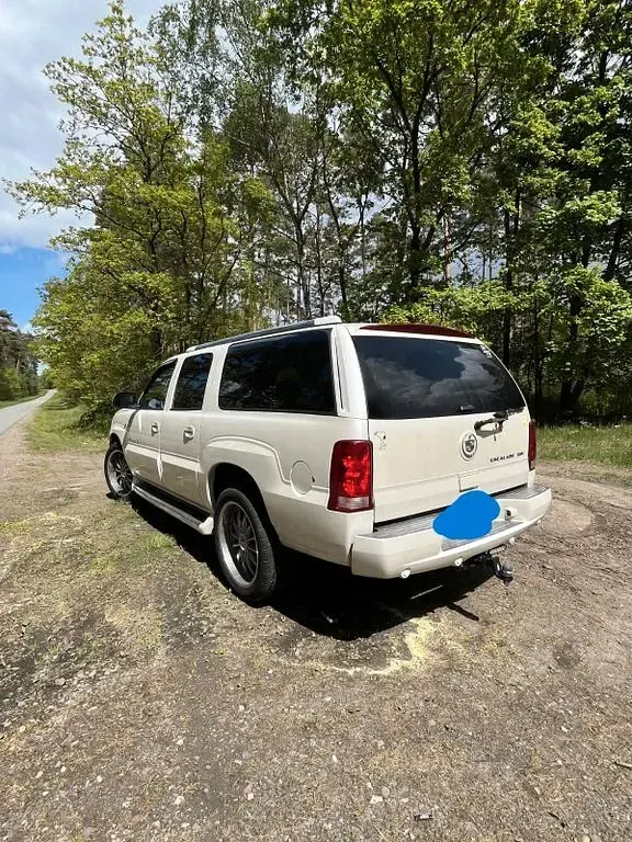 Gebraucht Cadillac Escalade 349 PS (256 kW) 2005 Weiß SUV