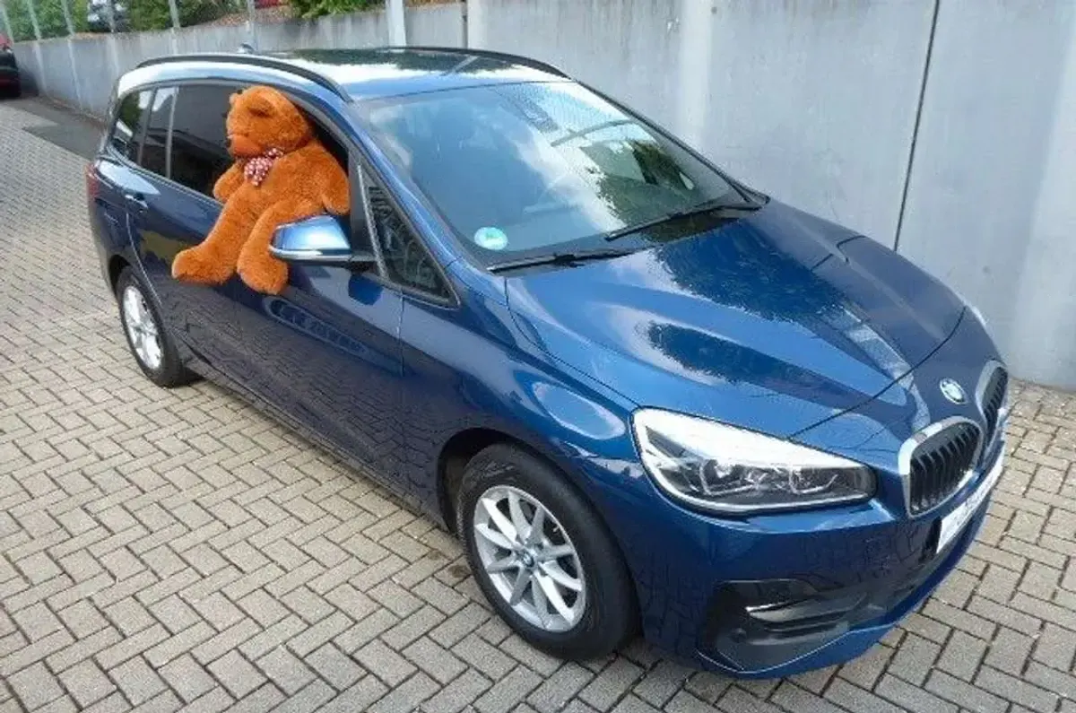 Gebraucht BMW 216 Gran Tourer Advantage 116 PS (85 kW) 2020 Blau Van / Kleinbus