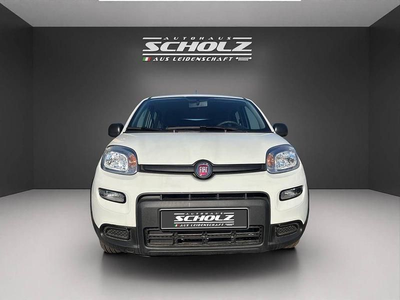 Gebraucht Fiat Panda 71 PS (52 kW) 2024 Gelato weiß Kleinwagen
