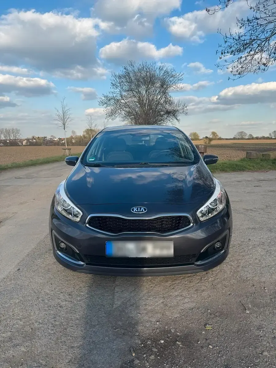Gebraucht Kia Ceed Spirit 136 PS (100 kW) 2016 Grau Kleinwagen