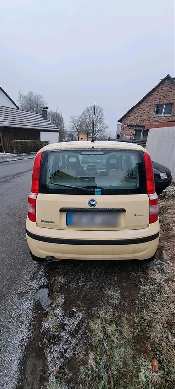 Gebraucht Fiat Panda 54 PS (39 kW) 2004 Gelb Kleinwagen