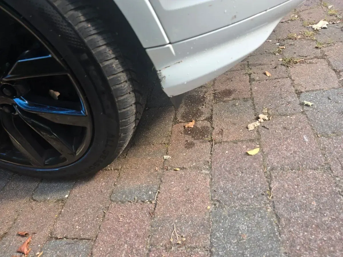 Gebraucht Ford Kuga ST-Line 242 PS (177 kW) 2018 Weiß SUV