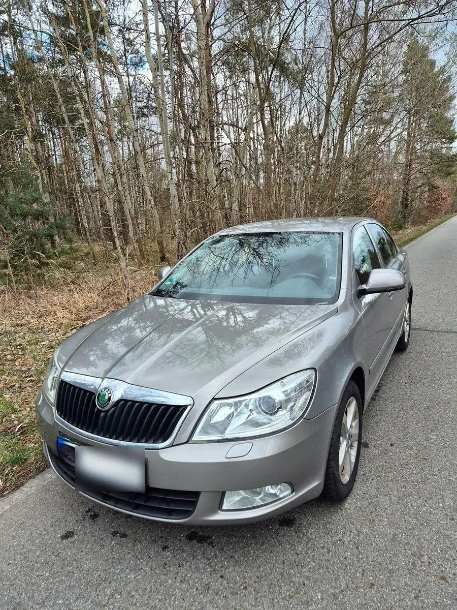 Gebraucht Skoda Octavia Active 105 PS (77 kW) 2012 Silber Limousine