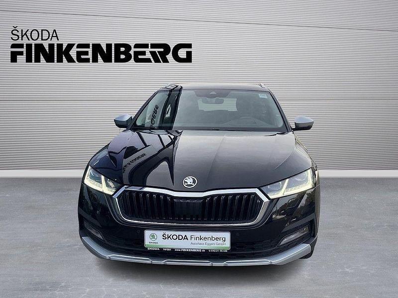 Gebraucht Skoda Octavia 150 PS (110 kW) 2021 Blackmagic perleffekt Kombi