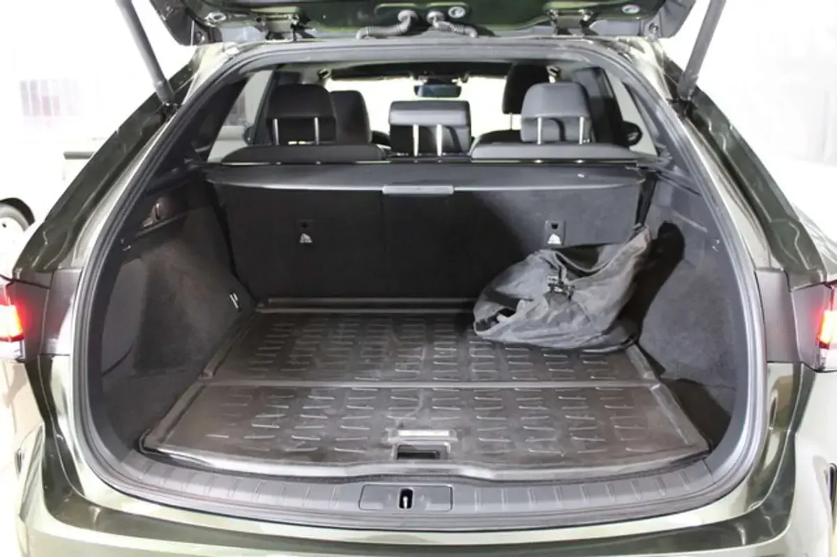 Gebraucht Lexus RX450h Business Edition 309 PS (227 kW) 2023 Terrarne khaki SUV