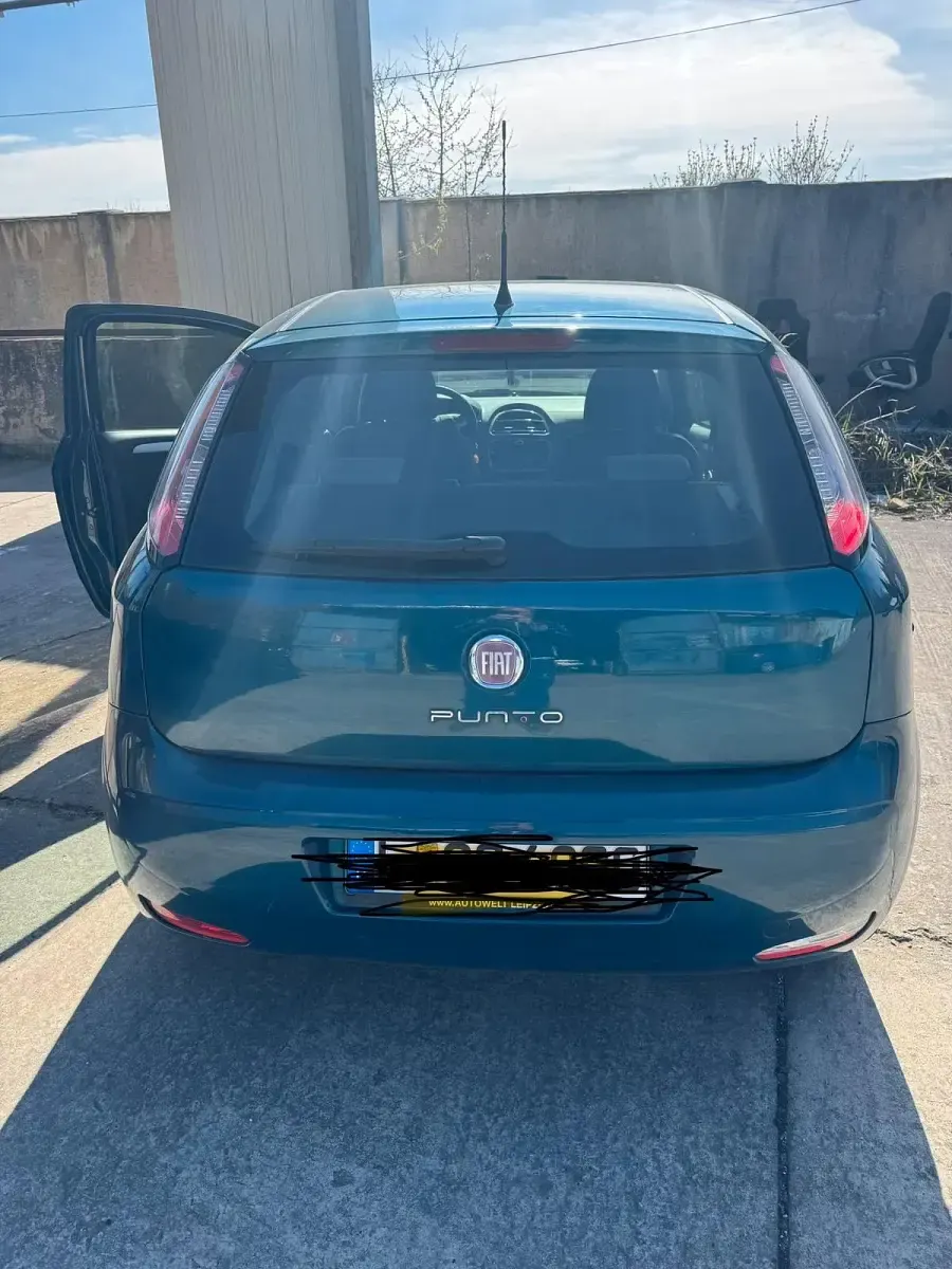 Gebraucht Fiat Punto 90 PS (66 kW) 2012 Grün Kleinwagen
