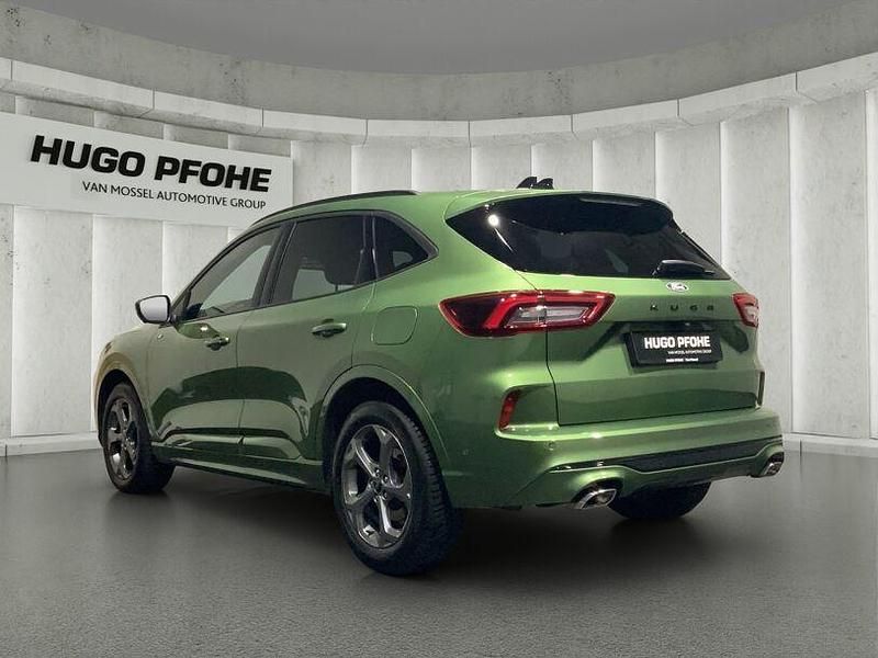 Gebraucht Ford Kuga ST-Line X 186 PS (136 kW) 2024 Bursting green SUV