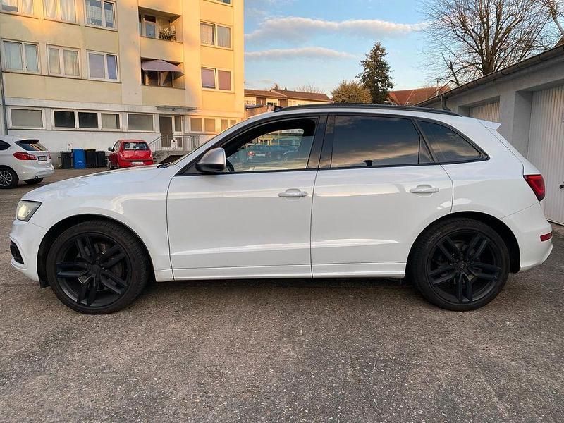 Gebraucht Audi SQ5 Exclusive 313 PS (230 kW) 2014 Weiß SUV