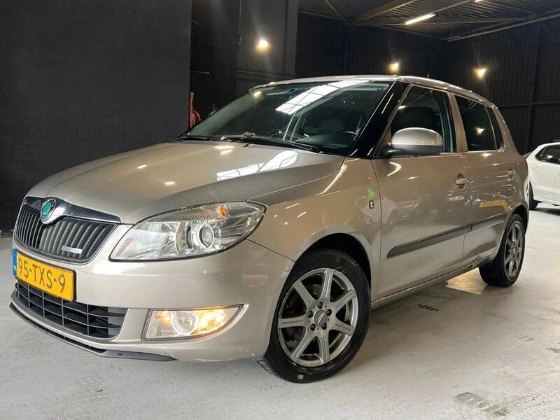 Gebraucht Skoda Fabia GreenLine 75 PS (55 kW) 2012 Beige Kleinwagen