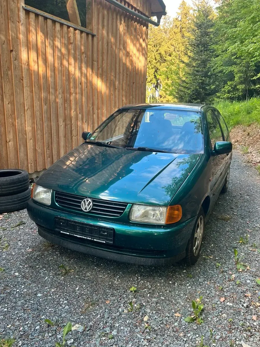 Gebraucht VW Polo 60 PS (44 kW) 1996 Grün Kleinwagen