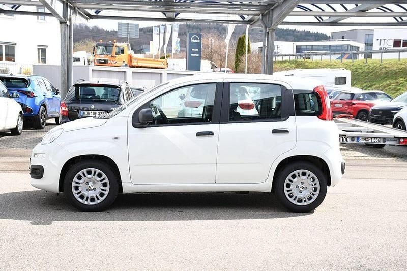 Neu Fiat Panda 69 PS (50 kW) 2025 Weiß Kleinwagen
