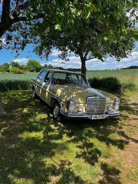 Gebraucht Mercedes 280 195 PS (143 kW) 1973 Gelb Limousine