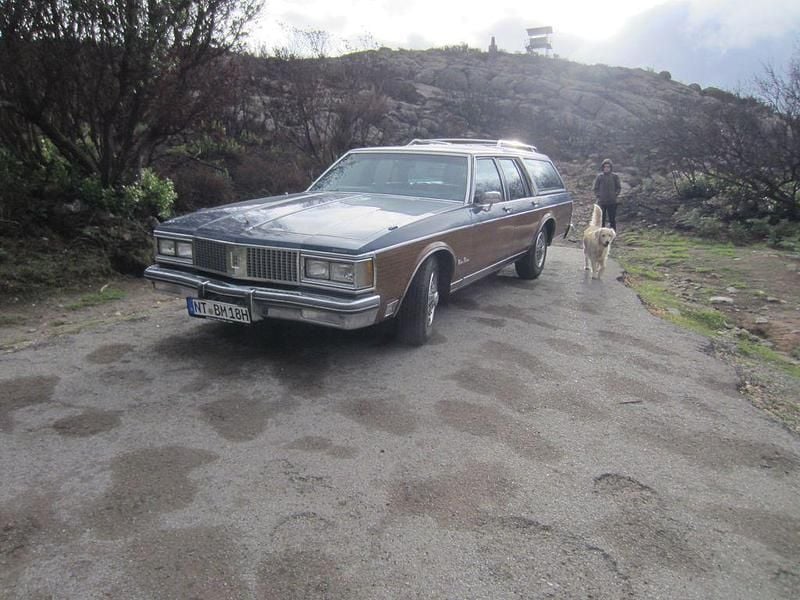 Blau Gebraucht 1988 Oldsmobile Custom Cruiser Kombi | 13.000 € - Bild 1/4