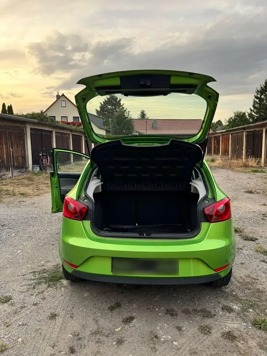 Gebraucht Seat Ibiza Reference 69 PS (50 kW) 2012 Grün Kleinwagen